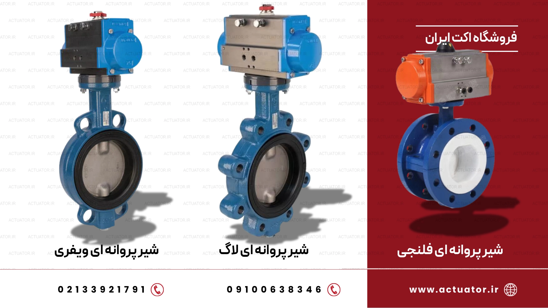 شیر پروانه ای
